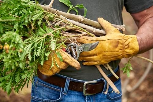 Corona Vs Ryobi Pruning Shears