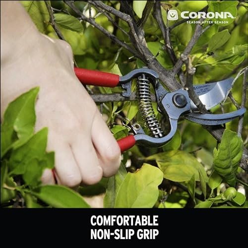Corona Vs Greenworks Pruning Shears