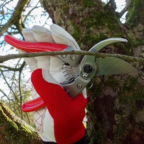 ARS Vs Greenworks Pruning Shears