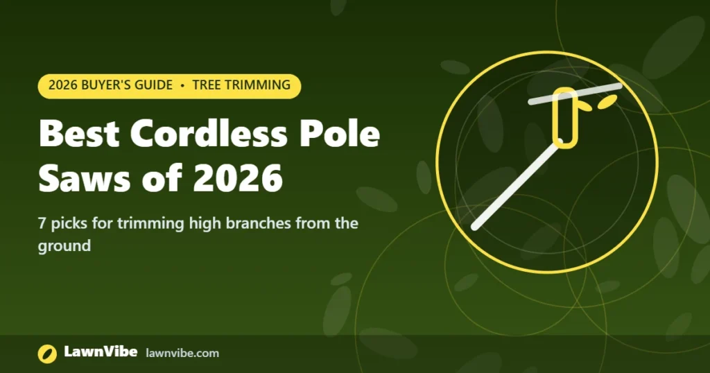 Best Cordless Pole Saws of 2026 - best cordless pole saw