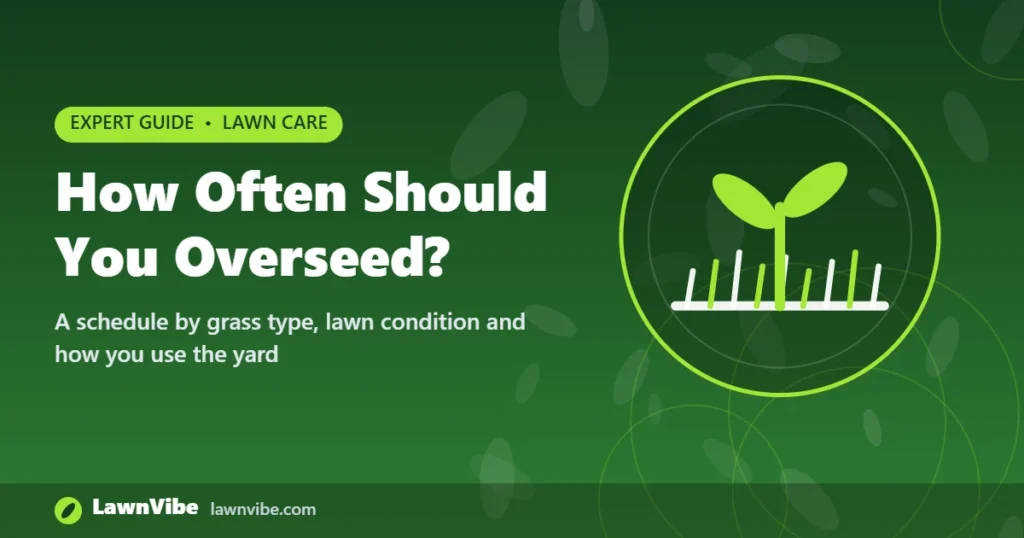 How Often Should You Overseed? - how often to overseed lawn