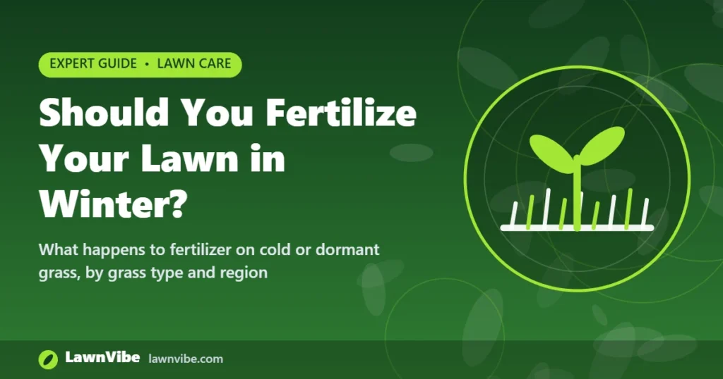 Should You Fertilize Your Lawn in Winter? - should you fertilize lawn in winter