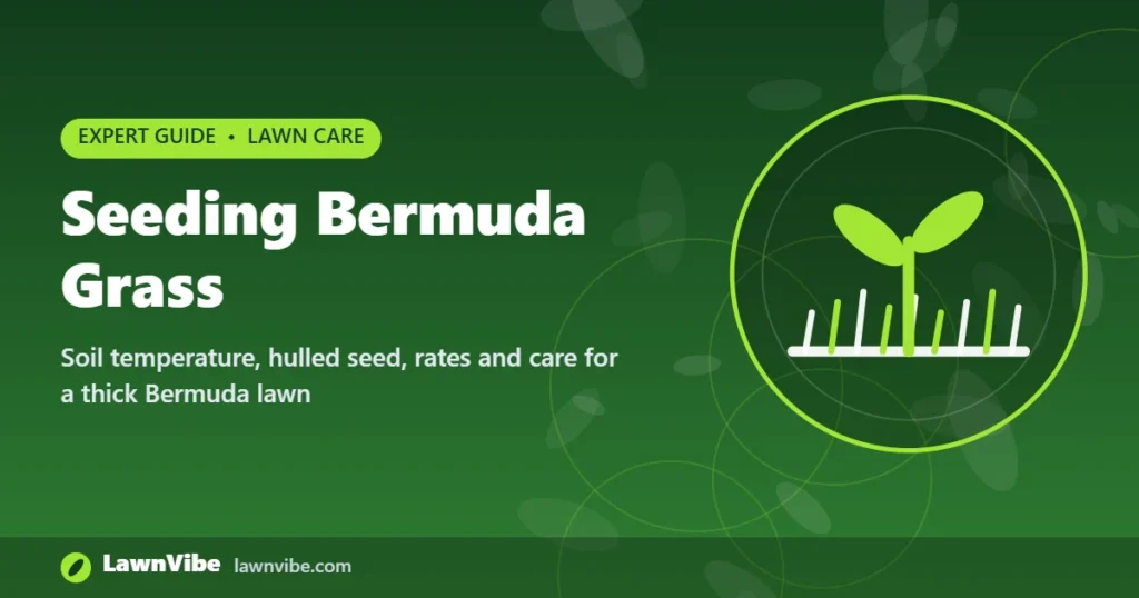 Seeding Bermuda Grass - seeding bermuda grass