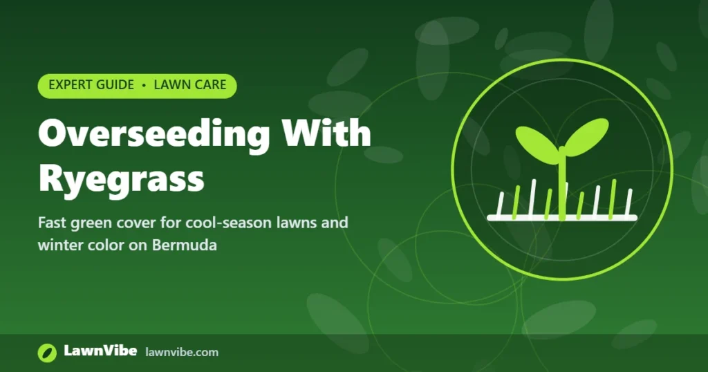 Overseeding With Ryegrass - overseed with ryegrass