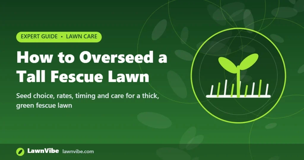 How to Overseed a Tall Fescue Lawn - overseed tall fescue lawn