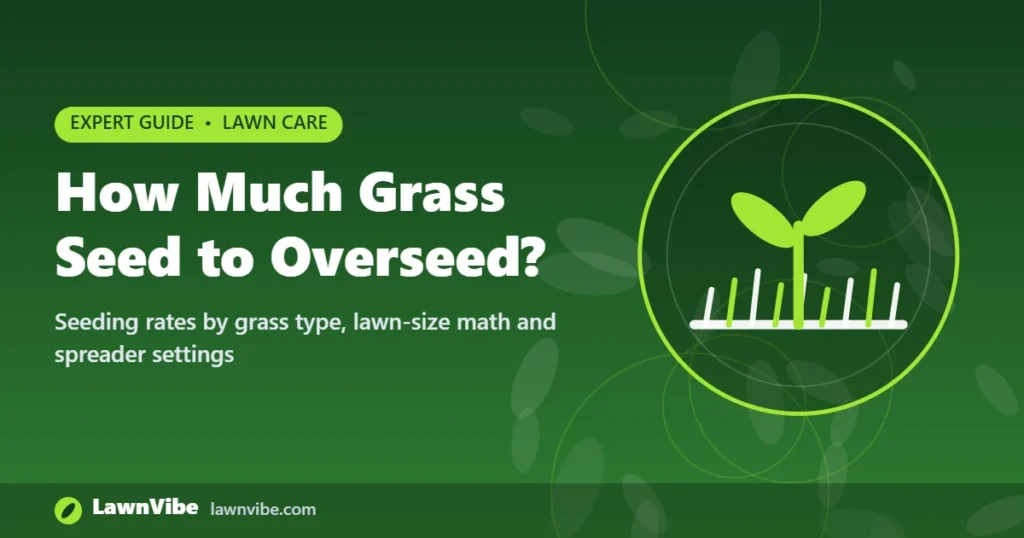 How Much Grass Seed to Overseed? - how much grass seed to overseed