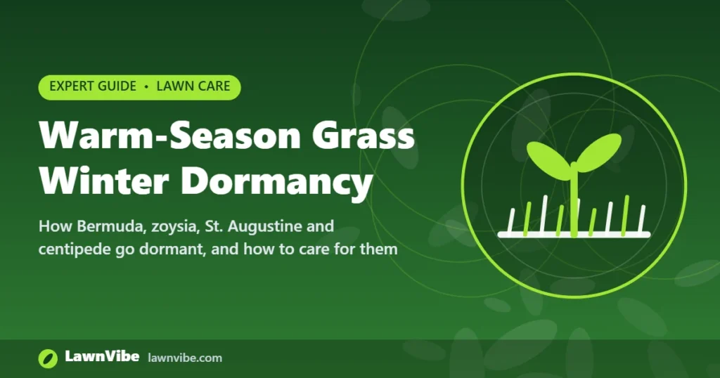 Warm-Season Grass Winter Dormancy - warm season grass winter dormancy
